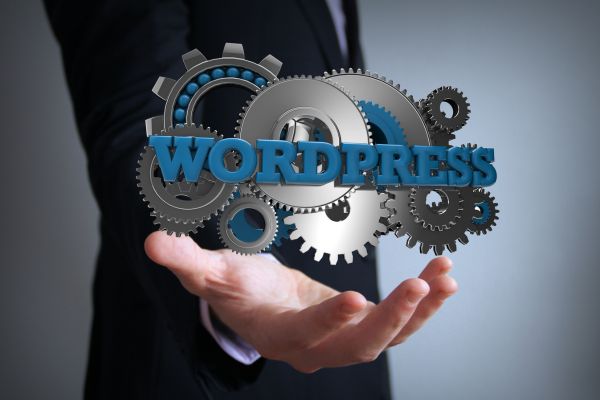 wordpress használata